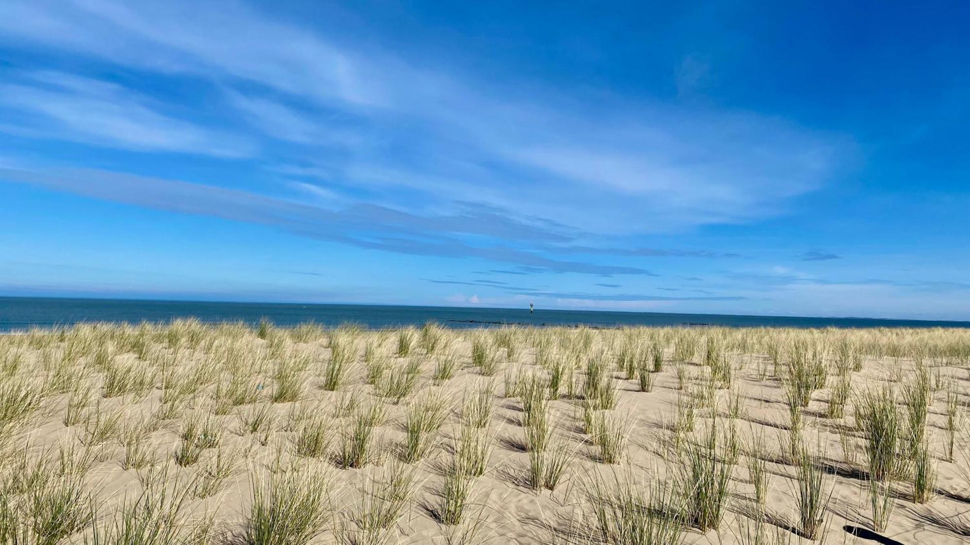 Apartamento Royal Knokke Exterior foto